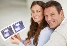Четырнадцатая неделя беременности, определение пола ребенка