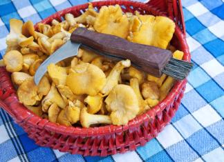 Как солить грибы в домашних условиях: рецепты Как засолить польские грибы на зиму