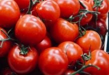 Вирощування овочів як бізнес: актуальність, прибуток продажу томатів Канали збуту томатів