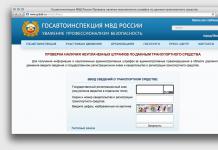 كيفية معرفة الغرامة الإدارية الخاصة بك في الاتحاد الروسي، جميع طرق العثور على المعلومات اللازمة والفروق الدقيقة في الإجراء