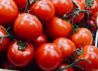 زراعة الخضروات كعمل تجاري: أهمية وربح بيع الطماطم (البندورة) قنوات البيع للطماطم (البندورة).